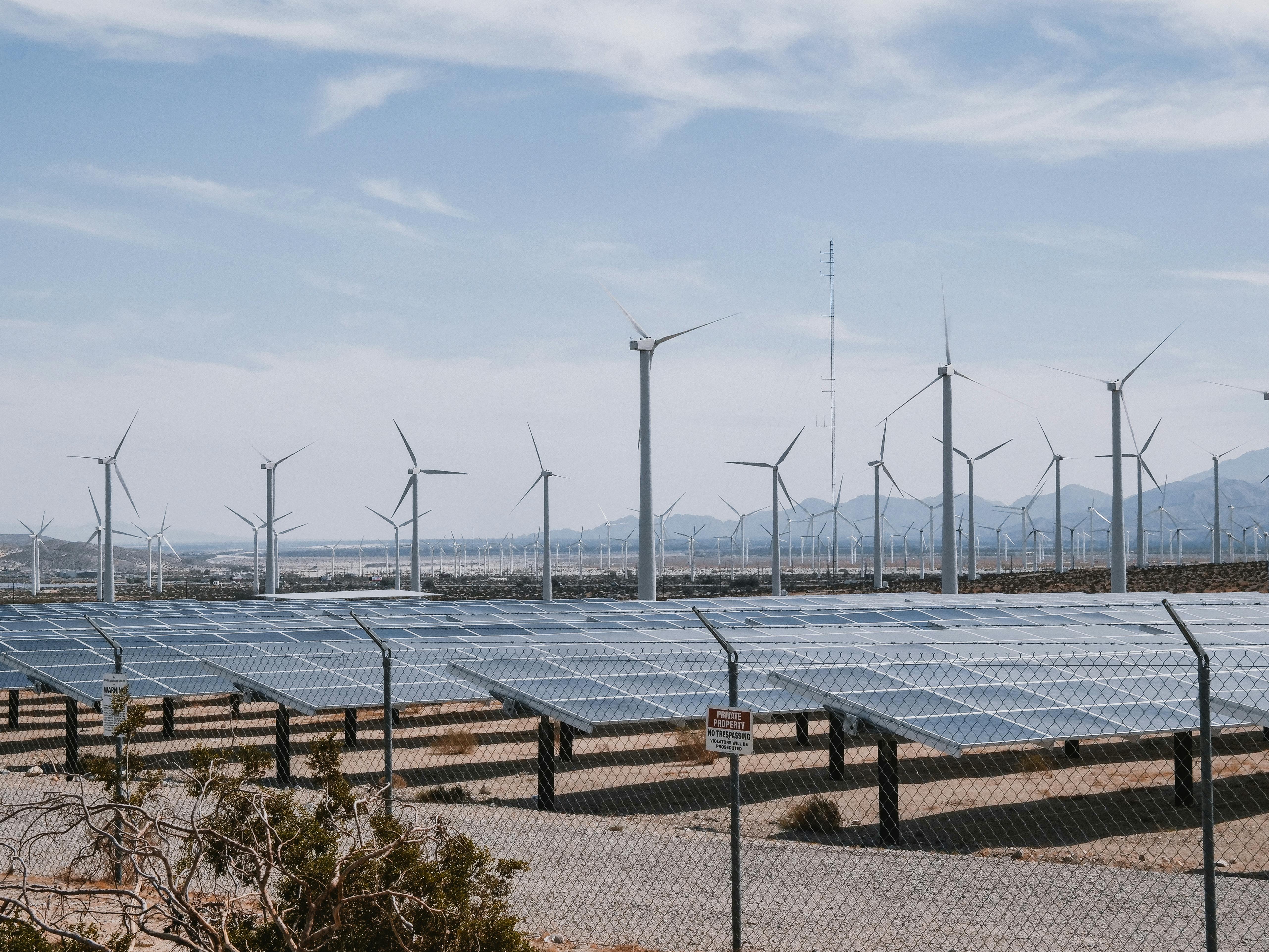 Wind turbines and solar panels in daylight